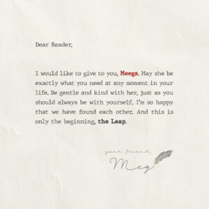 Meegs: The Leap (Paperback)